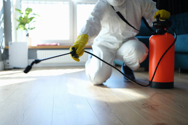 Best Emergency Pest Control  in Deans, NJ