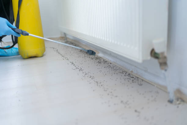 Best Local Pest Control Services  in Deans, NJ