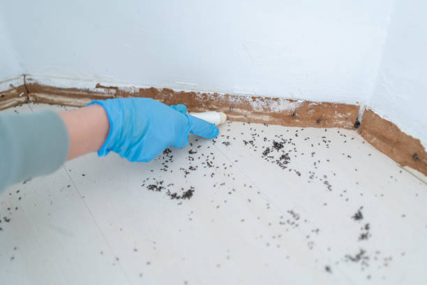 Best Mosquito Control Services  in Deans, NJ