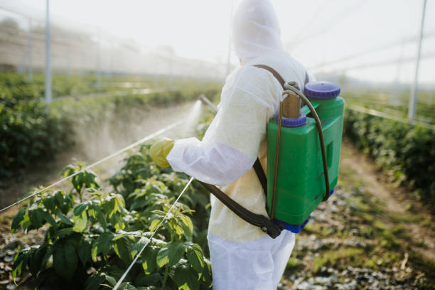 Best Bed Bug Extermination  in Deans, NJ